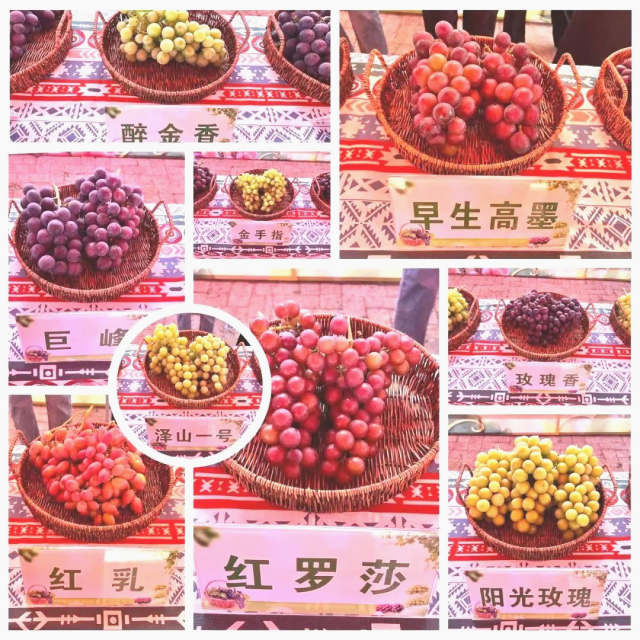 微信圖片_20230718092527_副本.jpg