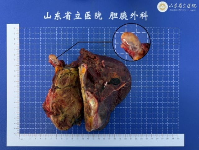 圖片3_副本.png